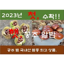 23년햇공주밤(대) 2kg ~8kg (9월4일 부터 순차 발송), 1개, 4kg