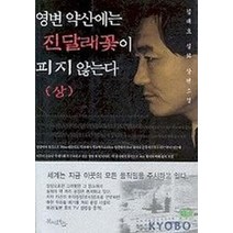 영변 약산에는 진달래꽃이 피지 않는다(상), 북치는마을, 김대호 저