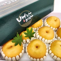 [프리미엄] 직접키운 나주배 신고배 가정용 선물용 5kg 7.5kg 당도선별, 가정용 나주배 5kg (8-9과)
