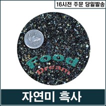 자연미 흑사/수족관모래, 단품