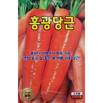 홍광당근씨앗1500립 KS종묘 봄부터 여름까지 파종가능 맷힘좋고 깔 좋은 봄 여름겸용 당근