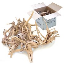 오대양 프리미엄 가지유목 1박스 - (수조레이아웃)