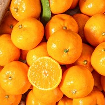 식식한상 [식식한상] 제주직송 서귀포 노지감귤 4.5kg 대과 (L-2L), 단품없음