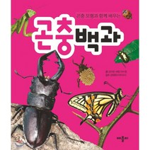 곤충 모형과 함께 배우는 곤충백과, 애플비북스
