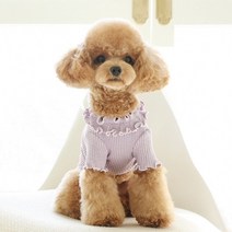 [갤러리아] 꼴레트멍멍치즈 강아지티셔츠 마이리틀독, 라벤더
