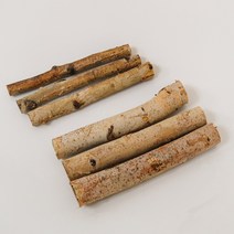 자작나무가지 벽트리 행잉트리 만들기 내추럴 나뭇가지, 자작나무 두께 1~2cm, 60cm