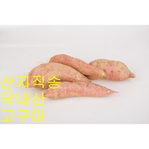 해남고구마 꿀 밤 베니하루카 다이어트 고구마 3kg 5kg 10kg 대, 1개