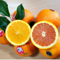 미국산 블랙고당도오렌지 한상자 17Kg 56과(특대과).72과(대과).3.2kg. 5Kg내외 소포장, 고당도카라카라오렌지 5Kg(대과)내외