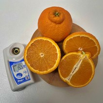 제주 신품종 스테비아급 고당도 한라봉 써니트, 써니트/가정용/3kg/중소과(15과내외)