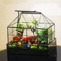 테라리움 키트 글래스 하우스 이끼테라리움 만들기 DIY 비바리움, 유망한미래(완제품)