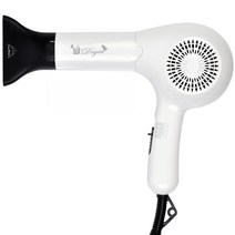 예스뷰티 미용실 헤어드라이어 YB-Dryer 1350W, 화이트