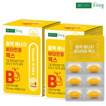 건국유업 활력 에너지 비타민B 맥스 22.5g, 30정, 2개, 30정