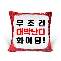 [리라상점] 응원선물 맞춤 문구 스팽글 쿠션 / 기념일 이벤트선물 솜포함 / 바로 선물 가능한 스팽글쿠션, 2.무조건대박난다