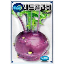 진흥 레드 콜라비 500립 - 레드 콜라비 씨앗 종자