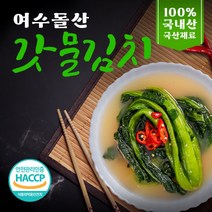 식객 여수 돌산 갓물김치 1kg 2kg 3kg 4kg 5kg 국내산 전라도 50년전통 당일생산