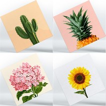 DIY 캔버스 페인팅 6종 식물, 선인장