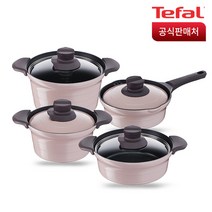 테팔 트레져 IH 인덕션 냄비세트 4종, 혼합 색상, 라면 냄비 20cm + 전골 24cm + 찌개 20cm + 국 24cm