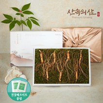 6~10년근 국내산 산양삼 산삼 산양산삼 장뇌삼 장뇌산삼, 6년근 프리미엄 7뿌리 (1상자)