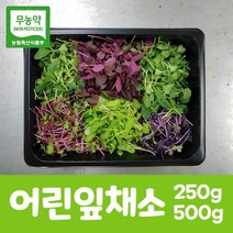 무농약 새싹채소 어린잎채소 모듬새싹 250g 500g 베이비채소 당일수확 산지직송, 01. 어린잎채소 250g, 1개