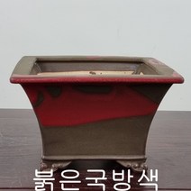 27. 손바닥정원 사각현애(대) 분재화분 승전분, 푸른아이보리흘림