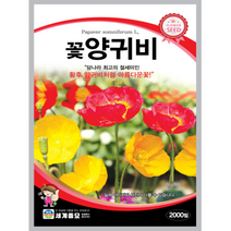 꽃양귀비 2000천립 꽃씨