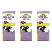 2+1 네이처스웨이 삼부커스 엘더베리 시럽 온가족용 패밀리용 120ml 3병, 1개, 기본