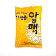 낚시여행 감성돔 압맥 감성돔집어제