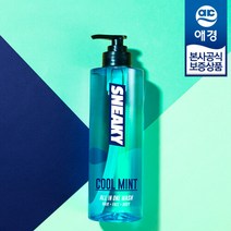 스니키 쿨민트 올인원 워시 500ml, 단일속성