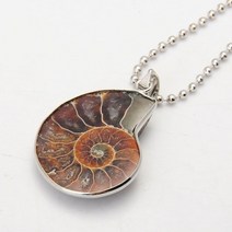 암모나이트 화석 목걸이 소용돌이 달팽이 amonite 보석류 보헤미안, 국석