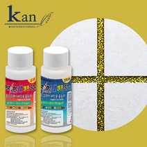 칸 프라이드알파 폴리우레아 바닥용 80g (현관1개용) 일반펄_금펄