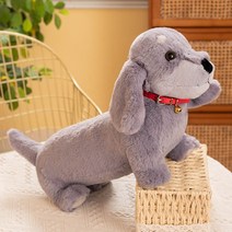 닥스훈트 인형 강아지 인형 댕댕이 멍멍이 봉제인형 조카 선물 인형선물 애착인형, 55cm, 그레이 닥스훈트 - 칼라