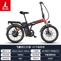 전기 자전거 피닉스 20 인치 리튬 배터리 접이식 전면 및 후면 디스크 브레이크 48v, 25아, 플라잉 디어 - 블랙 레드 - 스포크 휠 - 전기