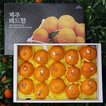 [프레쉬플러스] 제주 레드향 선물용 대과, 5kg(12~20과)