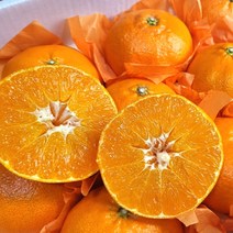 제주 레드향 가정용 선물용 3KG, 3kg(소과)