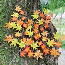 [왓위셀] 가을 인조 단풍잎 은행잎 단풍가지 조화 장식 디스플레이 유치원 어린이집 환경구성판, 09. 레드감나무잎가지