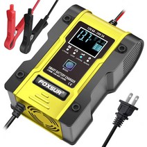 인산철 배터리 시동 충전기 7 단계 자동차 12V 24V 6A FOXSUR GEL WET AGM 12.6V 리튬 LiFePO4 LiPo 용 자동 스마트, [01] Charger EU plug