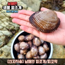 남해안 피조개 피꼬막 피조개회 조개 구이 찜 탕, 5kg, 1개