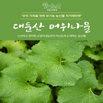 대둔산 머위나물 500g 1kg 2kg 머위잎 야물딱지게 다듬어서 보내드려요