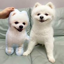 포토쿠션 쿠션제작 얼굴쿠션 강아지 고양이 개인화 된 사진 diy 애완 동물 쿠션 장난감, 당신의 사진, 30cm, 협력사