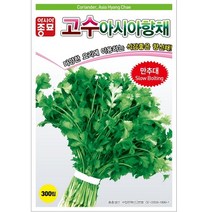 보람농자재 (허브씨앗종자) 고수 아시아향채(300립 500g), 300립