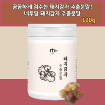 한국산 국산 국내산 물에 우유에 요거트에 타먹는 넣어먹는 돼지감자 되지감자 대지감자 가루 분말 쉐이크 파우더 물 티 차 티백 잘 쉽게 우러나는 울어나는 카페메뉴 드레싱 디저트 음료