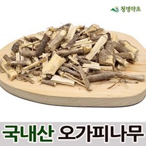 오가피나무(300g 2개 600g)-국내산