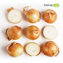 쿠잉Fresh 국내산 햇 양파 2 4 8kg 소 중 대 특대, 쿠잉Fresh 국내산 햇 양파 대(L) 2kg, 1개