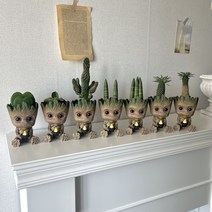 키우기쉬운 실내공기정화식물 집들이 개업 식물 화분, 하트호야