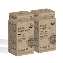 담백하루 플로라 루테인 에센스 120캡슐 4개월 4박스 DSM 플로라글로 비타민C 비타민E 아연 셀렌