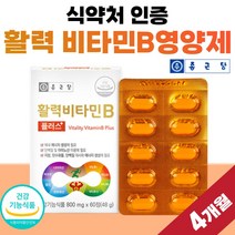 VITAMIN 수용성 50대 40대 30대 울트라 활력 비타민 B 플러스 식약청 인증 정 콤플렉스 complex 비오틴 종근당 B군 비타민B 비타민비 영양제 활성 식약처 인정, 60정 x 2개 (4개월분), 2개