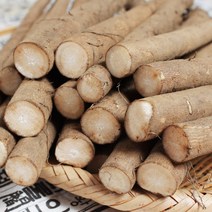[푸르젠] 3대 전통 안동 우엉 (알뜰~가공품), 1개, 2kg (중품)