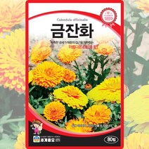 금잔화 씨앗 금잔화 씨 야생화 꽃 종자 80립, 단품