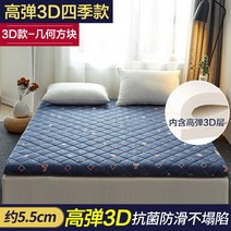 가정용 렌트룸 이코노미형 라텍스 소프트 소파 만들기 침대매트, C05-100x200cm항균 진드기방지