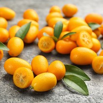 제주 금귤 낑깡 1kg~9kg, 5kg